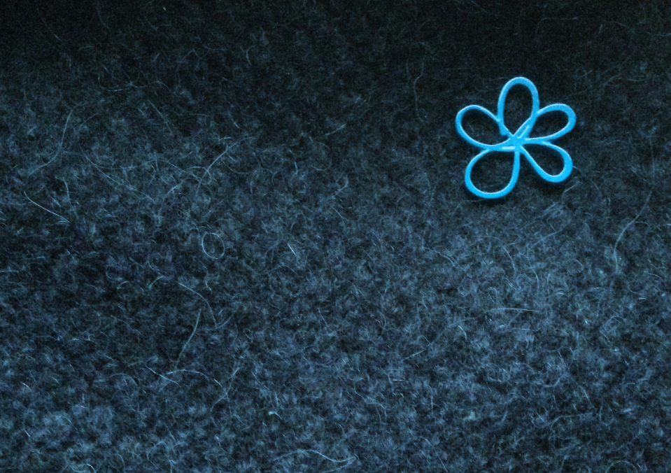 阿爾茨海默氏病協(xié)會(huì)品牌定位策劃,品牌形象塑造