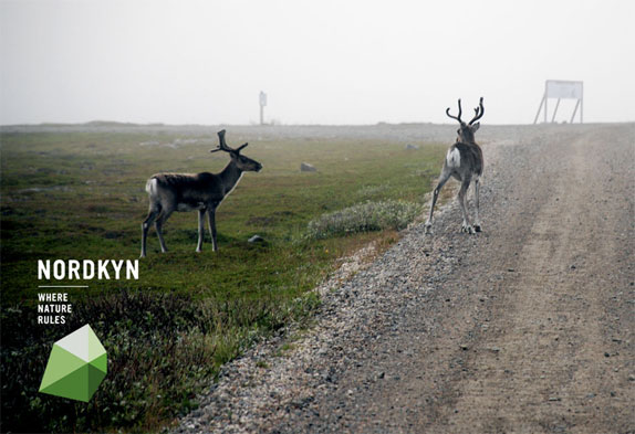 挪威Nordkyn全新旅游標志設計